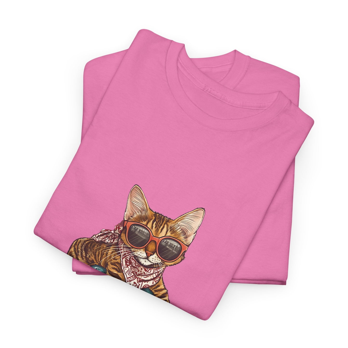 Retro Skateboard Cat T-Shirt Cat Graphic Tee Cool Streetwear for Cat Lovers